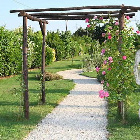 I Delfini - Natural B&B Cesenatico Exterior foto